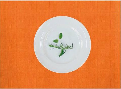 APELT Set placemats Arizona, Uni Basic Linnen look(set, 2 stuks )